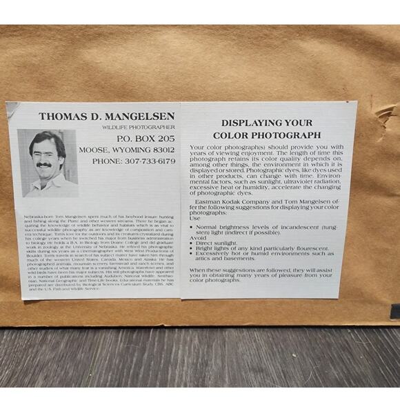 Thomas D. Mangelsen Collector Edition Print of Sandhill Cranes Images of Nature - Picture 6 of 15